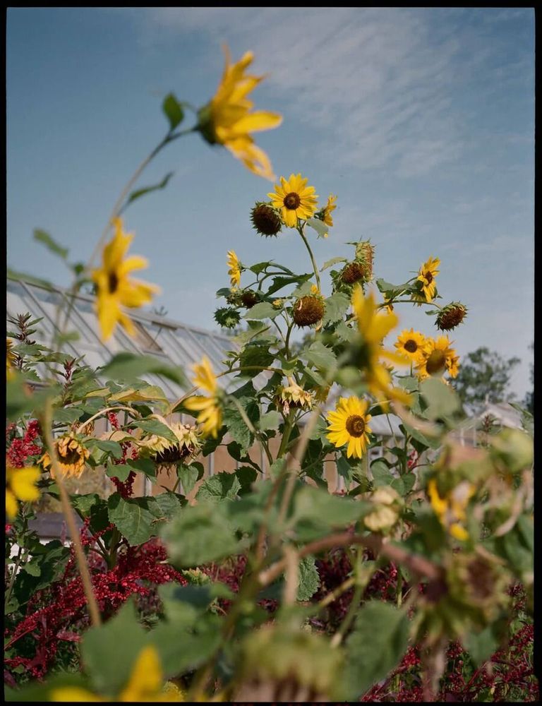 Objets de décoration - Un magazine 29 : organisé par Cecilie Bahnsen - NEW MAGS