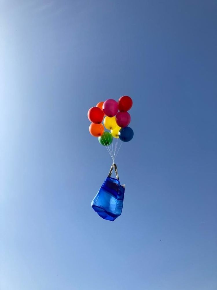 Sacs et cabas - TOTE_L - HOZUBAG