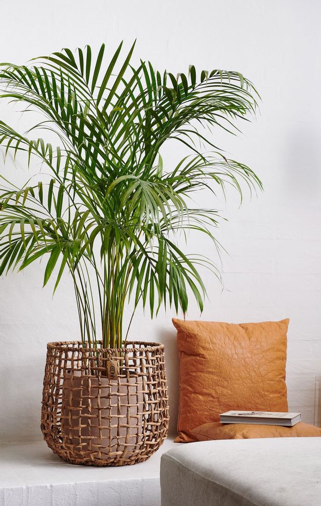 Objets design - Collection OOHH de Lubech Living - OOHH BY LÜBECH LIVING