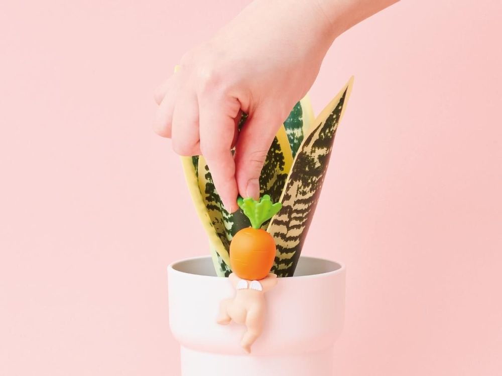 Gifts - Hippers Harvest - BABY WATCH SONNY ANGEL