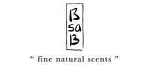 BSAB FRANCE