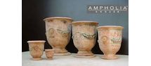 AMPHOLIA ANDUZE