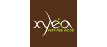 XYLEIA PETRIFIED WOOD