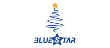 BLUE STAR B.V.