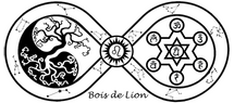 BOIS DE LION