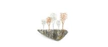 LA FORET IMAGINAIRE - GEOFFREY GABRIEL