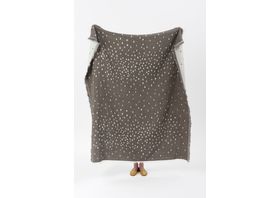 Cushion and throw in design Raining