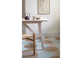 Puck in and outdoor rugs