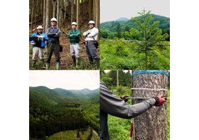Tackling Climate Change: Japan’s Circular Forest Resources