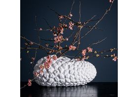 The Fascination of Nature Vase Sculpture ‘Metamorphosis Testudinaria’