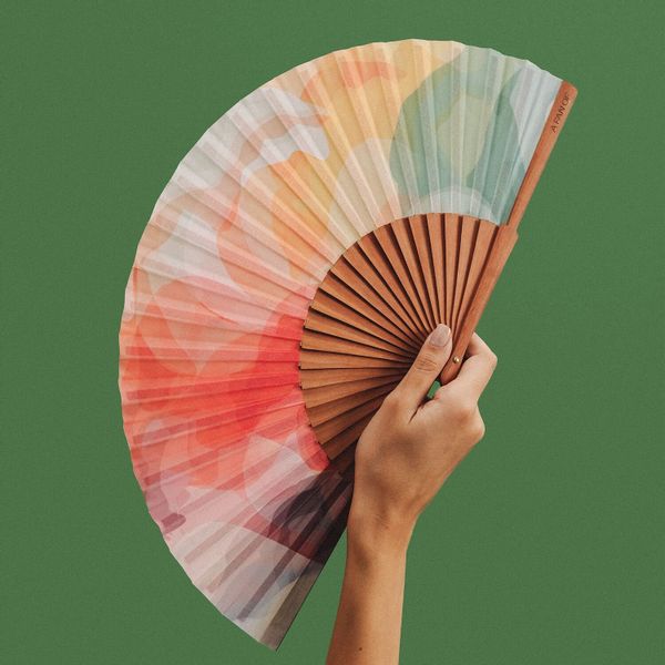 Hand Fan COLOUR HARMONY - 23cm - Multicolour