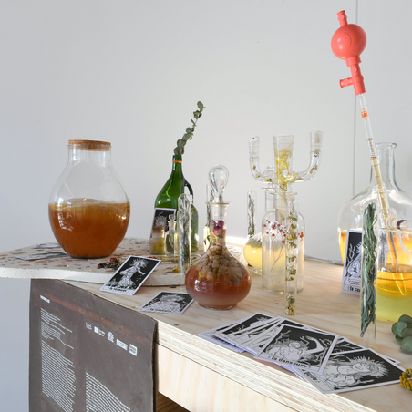 ALEXIA VENOT ( VIVANT.ES) - Le bar à Kombucha