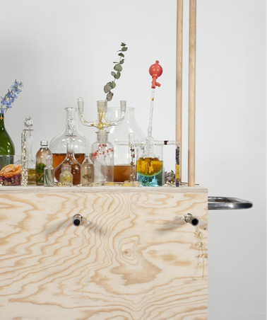 ALEXIA VENOT ( VIVANT.ES) - Le bar à Kombucha