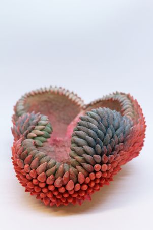 EMPREINTES - Carapace Peek-a-boo3 Cathy Marre