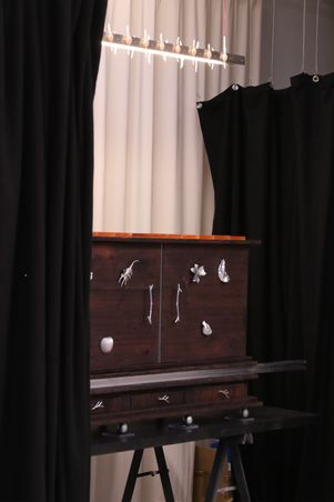 ECOLE CAMONDO A VIVEMENT DEMAIN#4 - Le cabinet aux Chimères