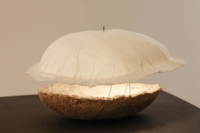 CELINE WRIGHT - Cocon-terre