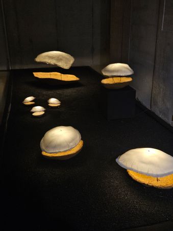 CELINE WRIGHT - Cocons-terre scénographie.