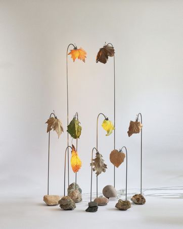 ROOOM SERVICE GALLERY - Thomas Takada