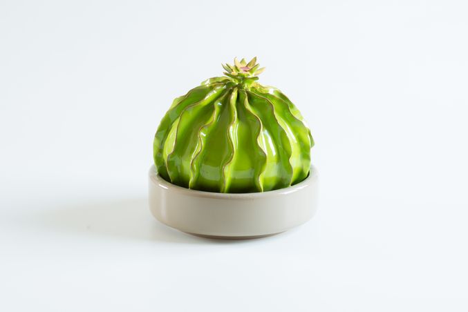 https://mom.maison-objet.com/fr/produit/92/cactus-objets-decoratifs-fabrique-en-italie