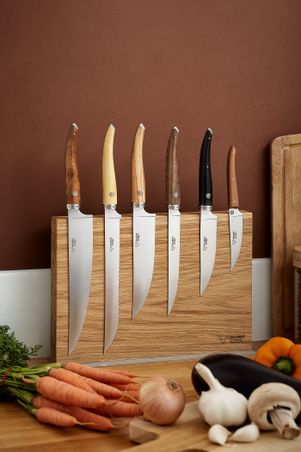 https://mom.maison-objet.com/en/product/12419/laguiole-gourmet-kitchen-knife-set