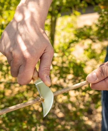 https://mom.maison-objet.com/fr/produit/1355446/garden-tools-pour-les-amoureux-et-les-professionnels-du-jardin