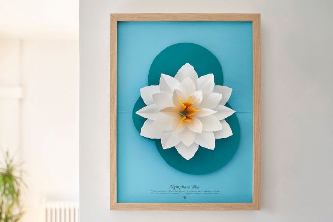 https://mom.maison-objet.com/en/product/1506272/nymphaea-alba