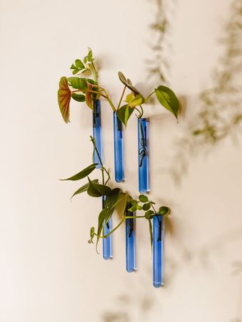 https://mom.maison-objet.com/en/product/1547714/walleaf-6-pack