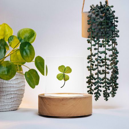 https://mom.maison-objet.com/fr/produit/1554350/inclusion-de-trefle-bloc-a-poser-taille-xxl