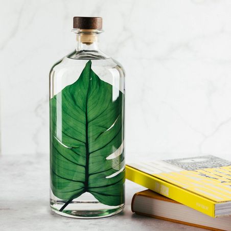 https://mom.maison-objet.com/en/product/1332798/theophile-s-herbarium-monstera-xl-plant-immersed-in-a-bottle