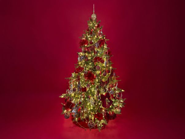 https://mom.maison-objet.com/fr/produit/136260/christmas-trees