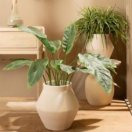 https://mom.maison-objet.com/en/product/1763480/spathifyllum-pot